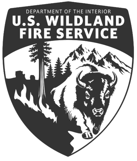 USWFS Black/White Helmet Sticker